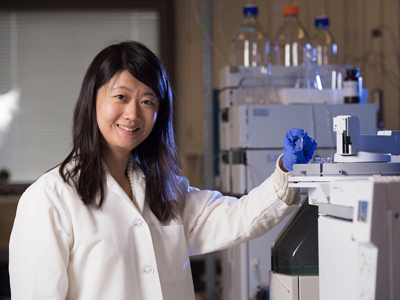 Associate Professor Wenqing “Vicky” Xu, PhD