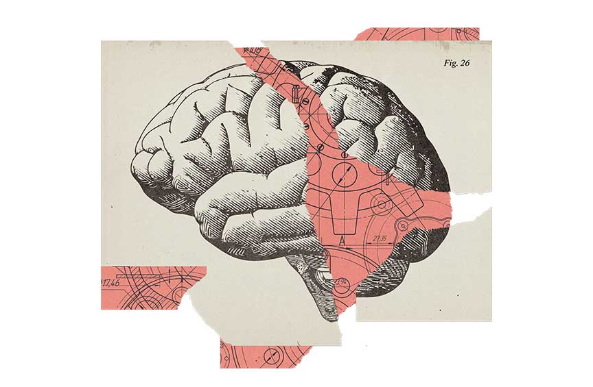 Illustration of the brain, showing its inner workings